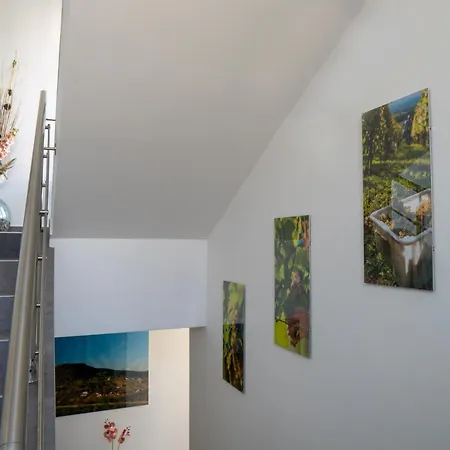 Vulcano Nocleg ze śniadaniem