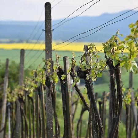 Nocleg ze śniadaniem Vulcano